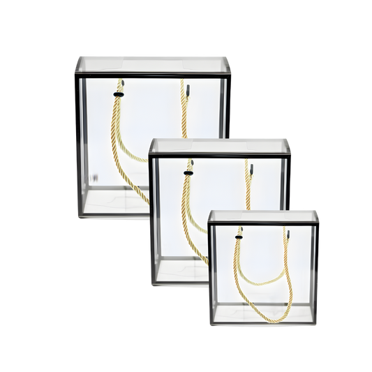 Transparent Gift bag