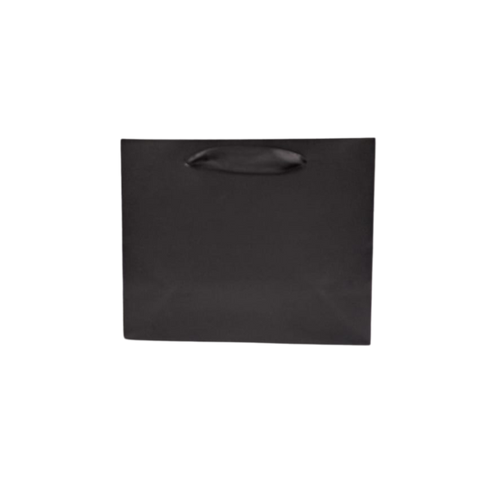 Gift Bag 20CM