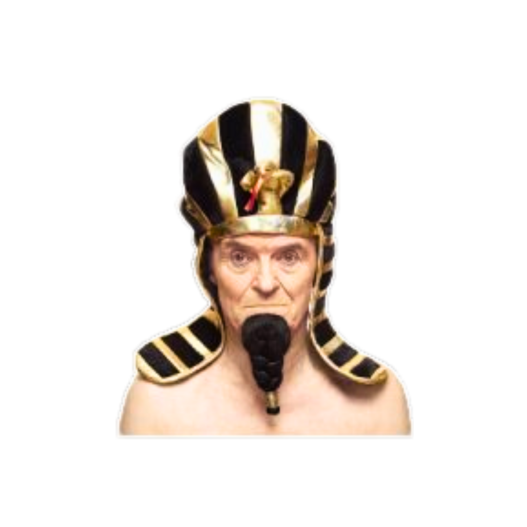 Egyptian Pharoah's Braided Beard