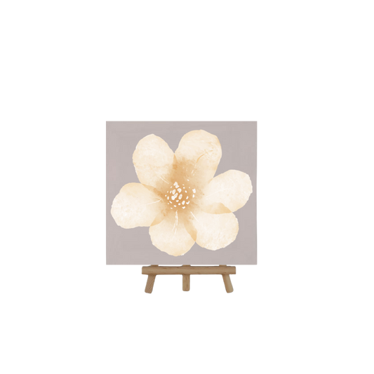 Artist Canvas 20cmx20cm