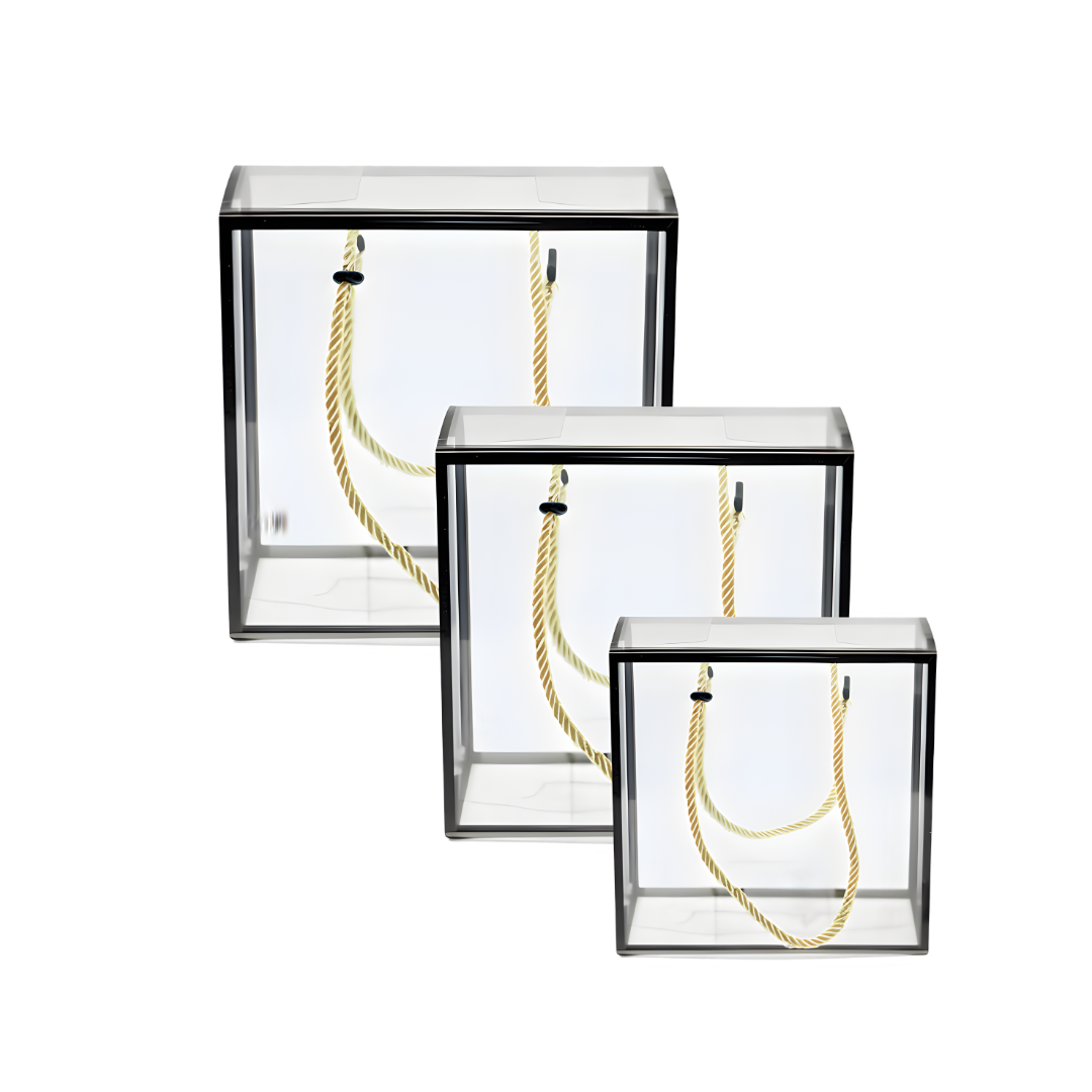 Transparent Gift bag
