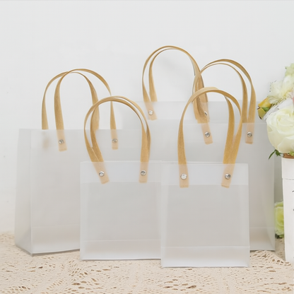 Frosted Gift Bag