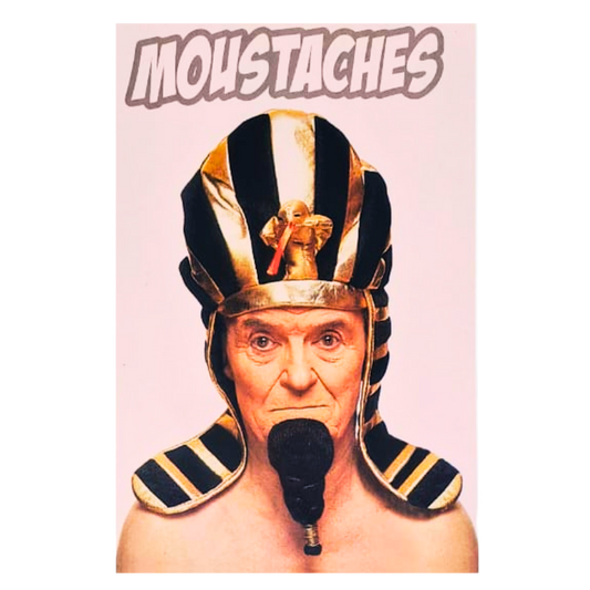 Egyptian Pharoah's Braided Beard