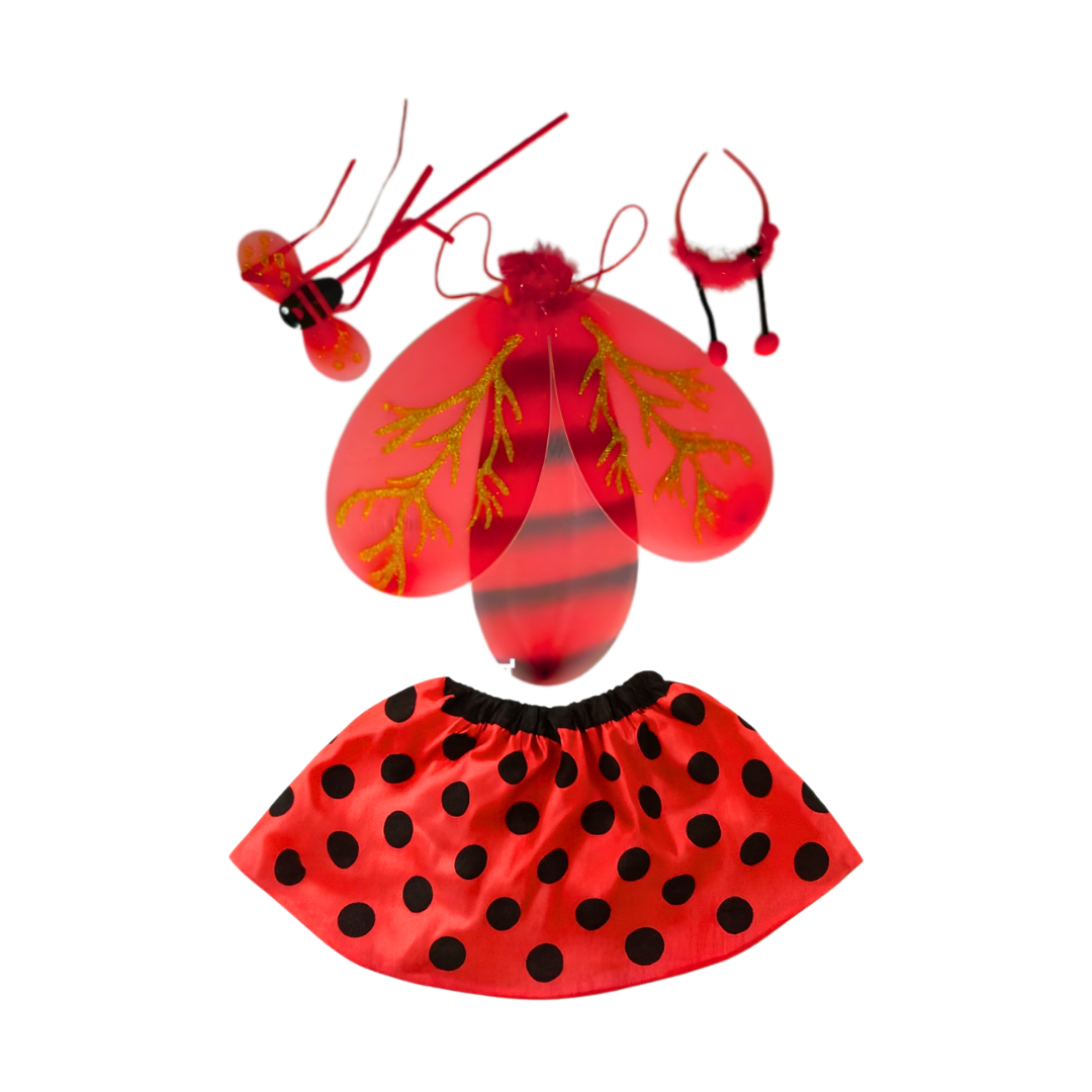 Ladybug Costume Set