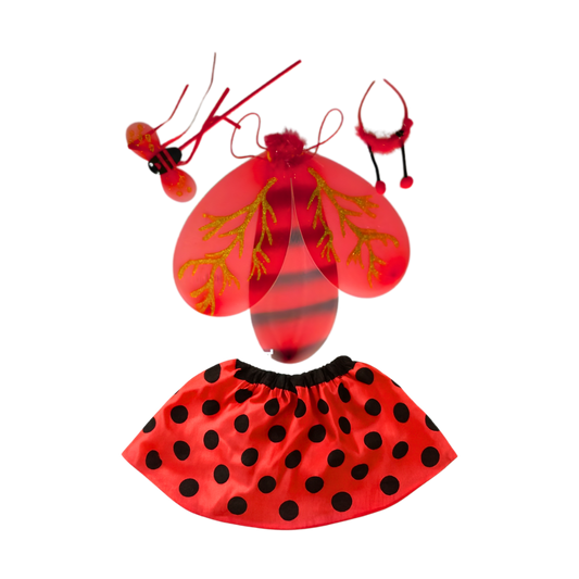 Ladybug Costume Set