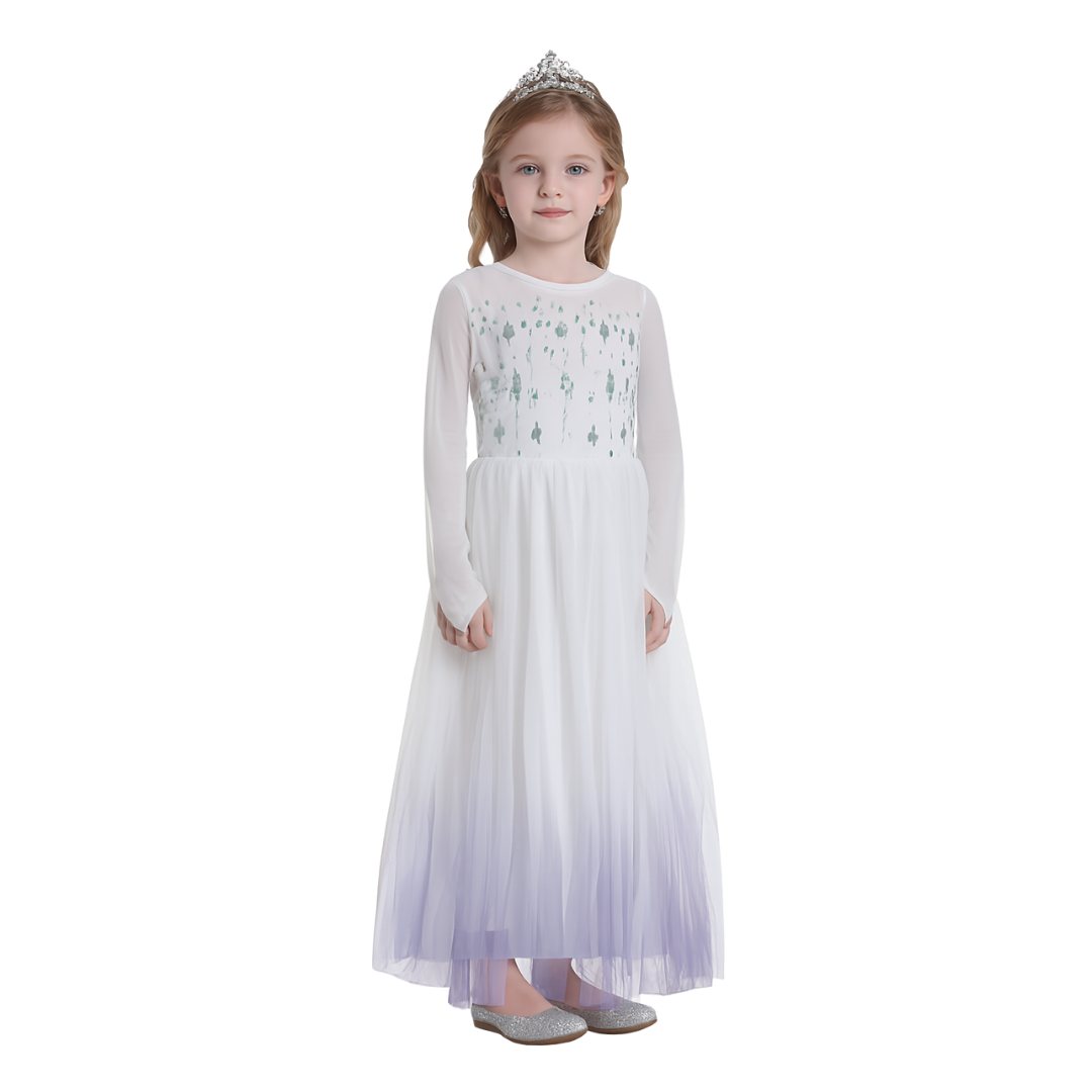 Ice Princess Costume