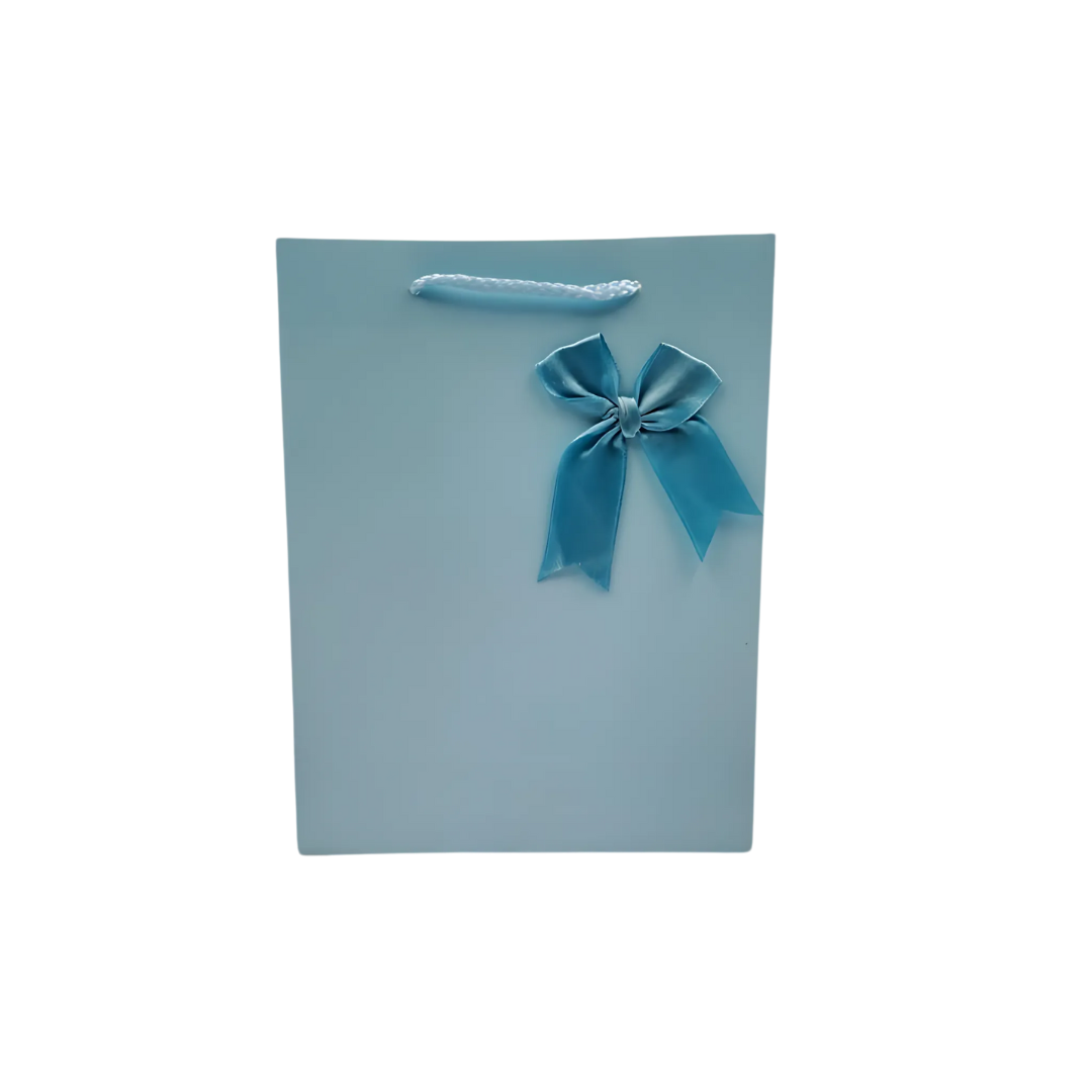 Gift Bag 23CM