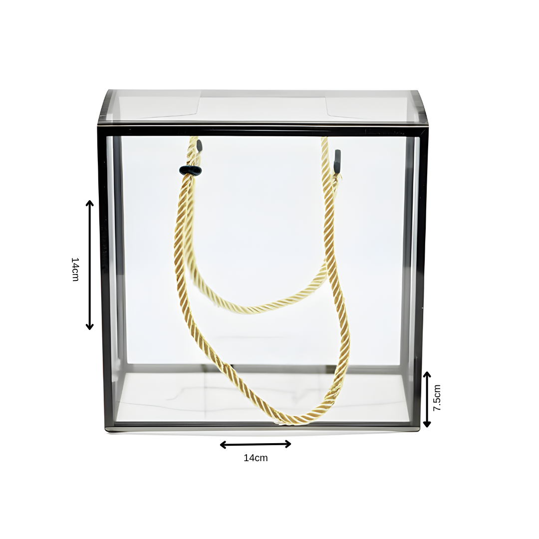 Transparent Gift bag