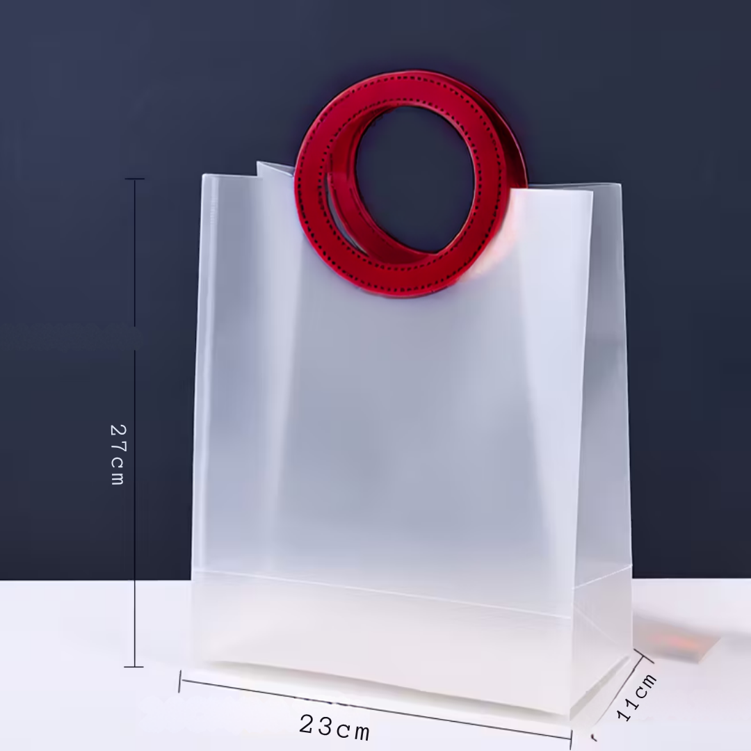 Frosted Gift Bag