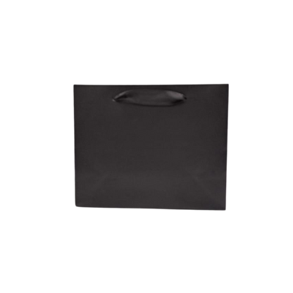 Gift Bag 20CM