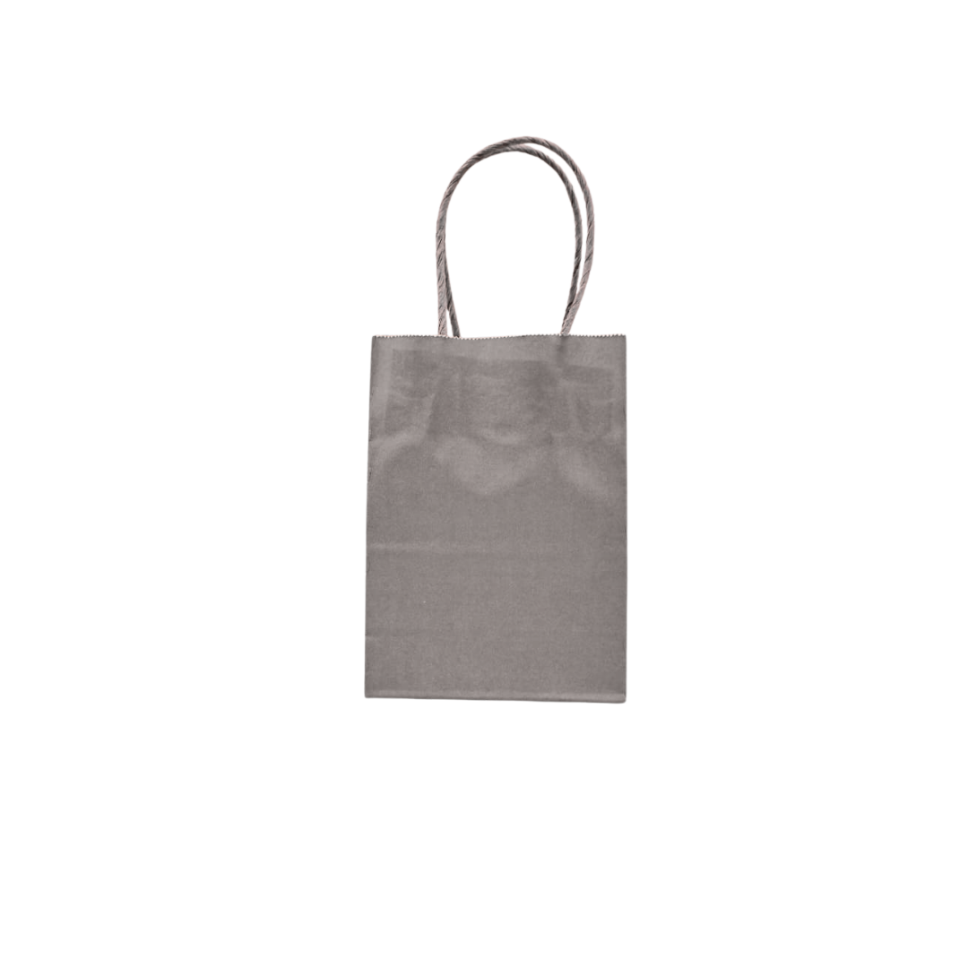 Gift Bag 21CM