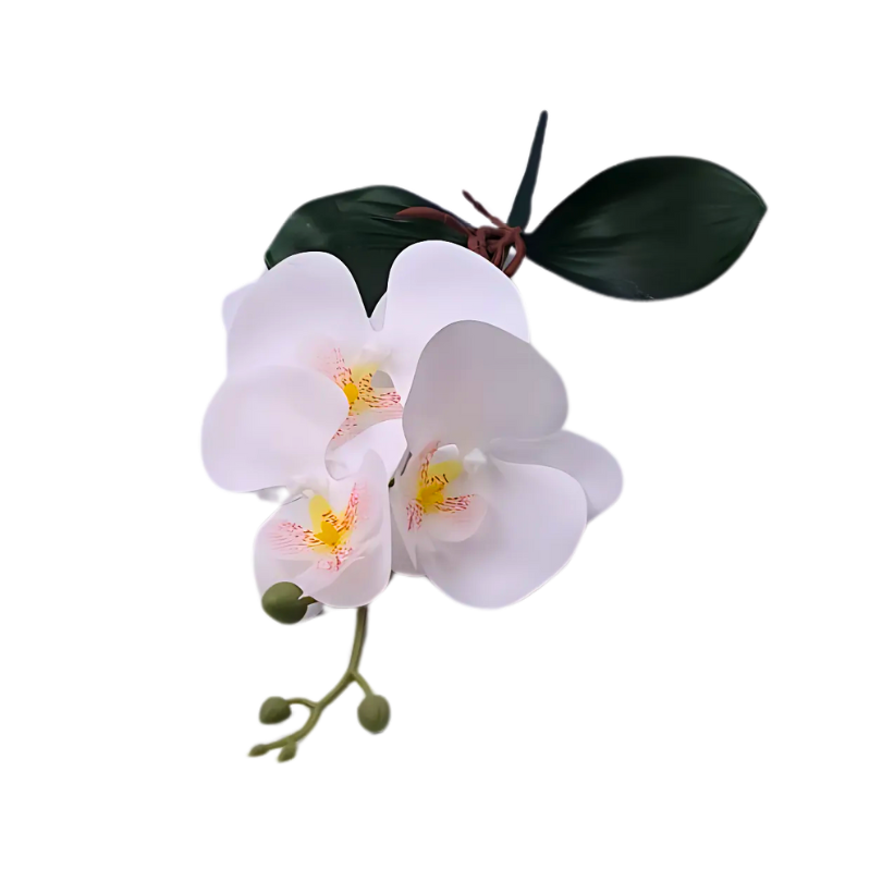 3 Bud Silk Butterfly Orchid