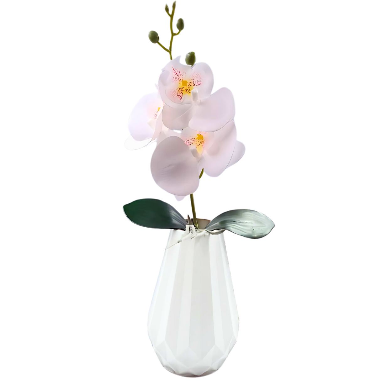 3 Bud Silk Butterfly Orchid