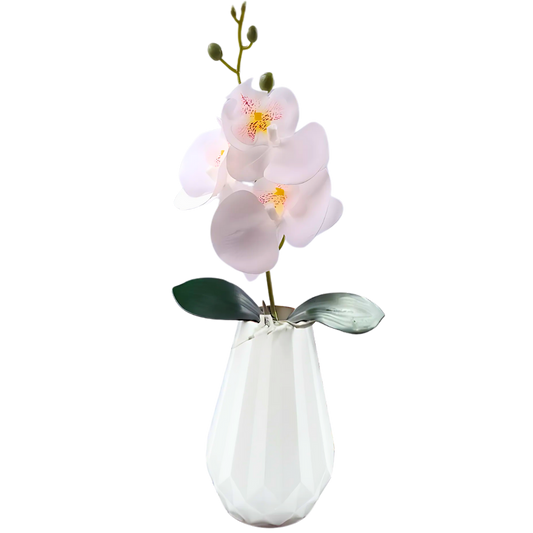 3 Bud Silk Butterfly Orchid