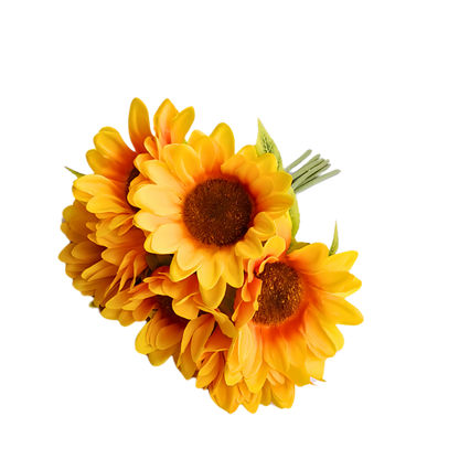 6 Bud Sunflower Bouquet